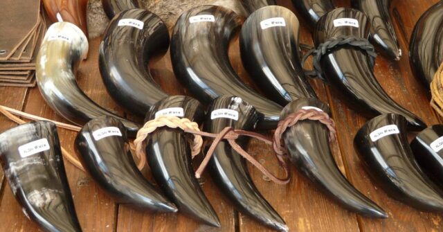 Black and shiny drinking horns displayed on a table.