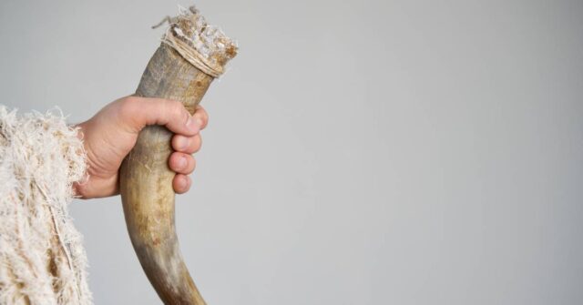 Viking arm with furr clothing holding bull horn as a drinking cup.