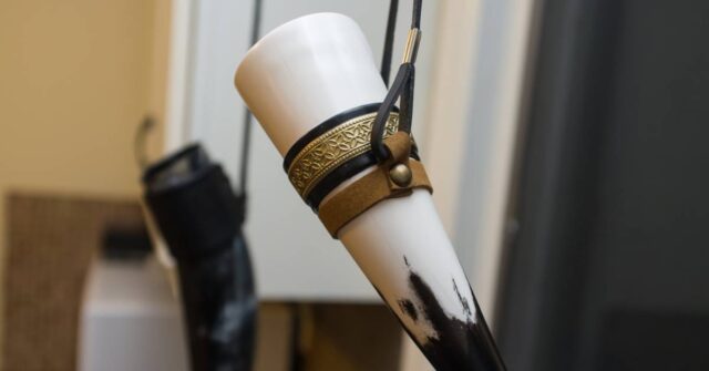 A drinking horn hanged for drying purposes.