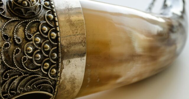 A high-quality drinking horn with intricate metal horn design.