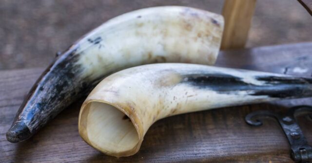 Two plain drinking horns on a table bench.