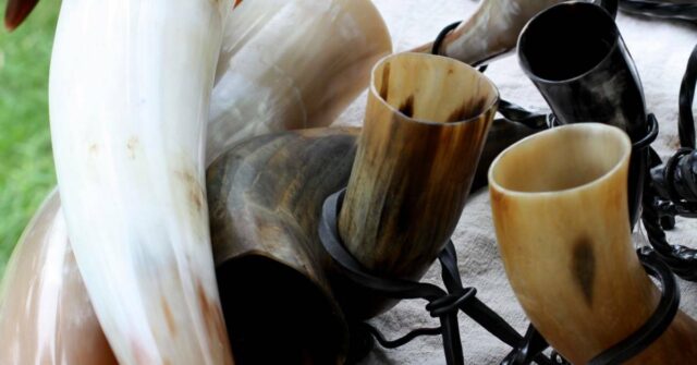 Different drinking horns displayed on a table in an event.