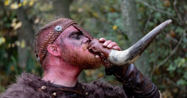A Viking man drinking from a traditional horn.