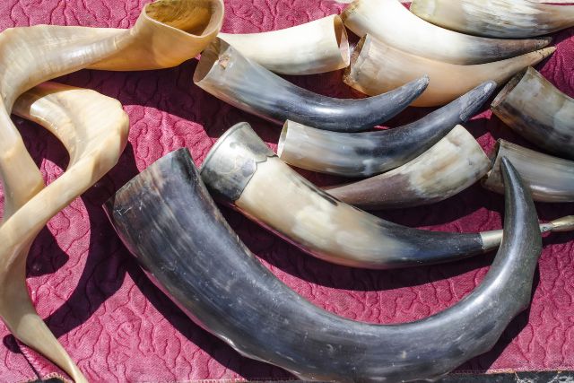 Various raw animal horns with weird shapes.